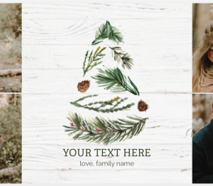 Holiday Cards - Horizontal - 4 x 8 (10 cards)