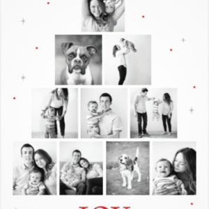 Holiday Cards - Vertical- 9 x 6 (10 cards)
